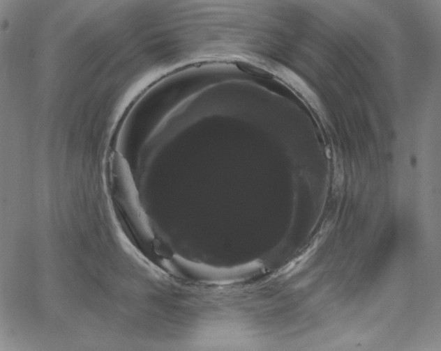 X0000066120958200603101232