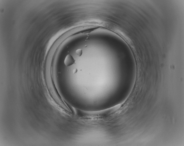 X0000066120960200603101232