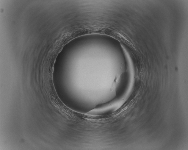 X0000066120961200603101231