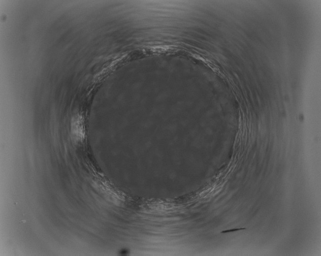 X0000066120962200603101231