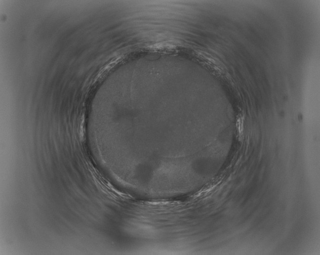 X0000066120963200603101231