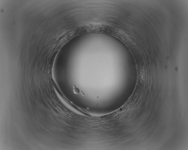 X0000066120964200603101231