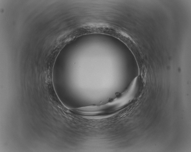 X0000066120965200603101231