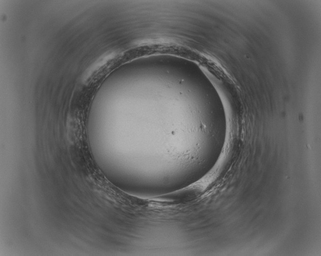 X0000066120967200603101231