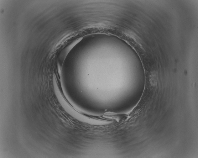 X0000066120968200603101231