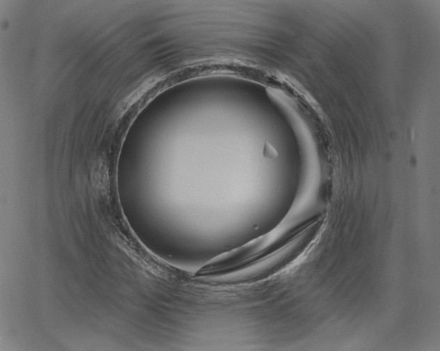 X0000066120969200603101231