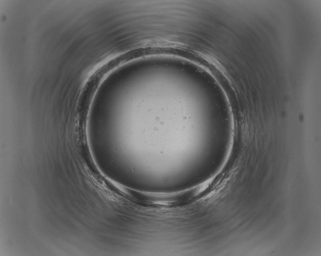 X0000066120971200603101231