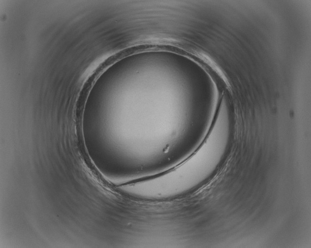 X0000066120972200603101231