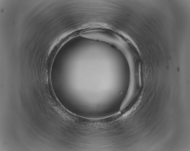 X0000066120973200603101231