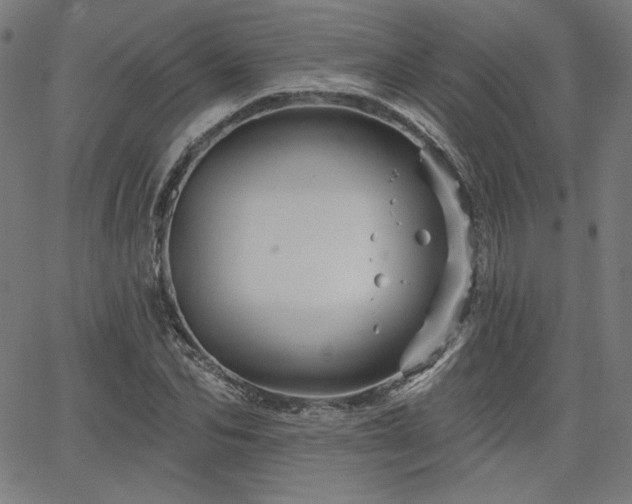 X0000066120974200603101231