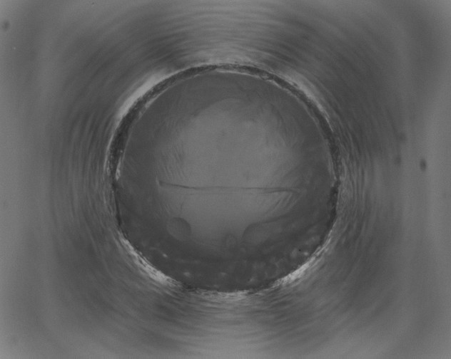 X0000066120975200603101231