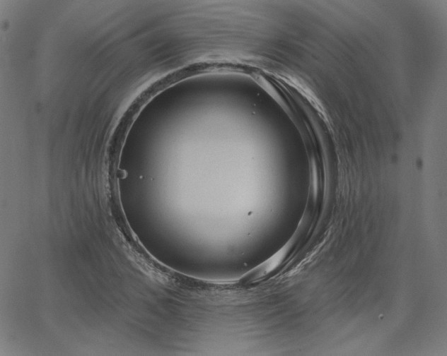 X0000066120976200603101231