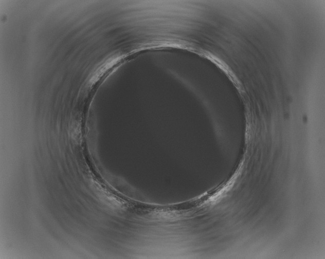 X0000066120977200603101231