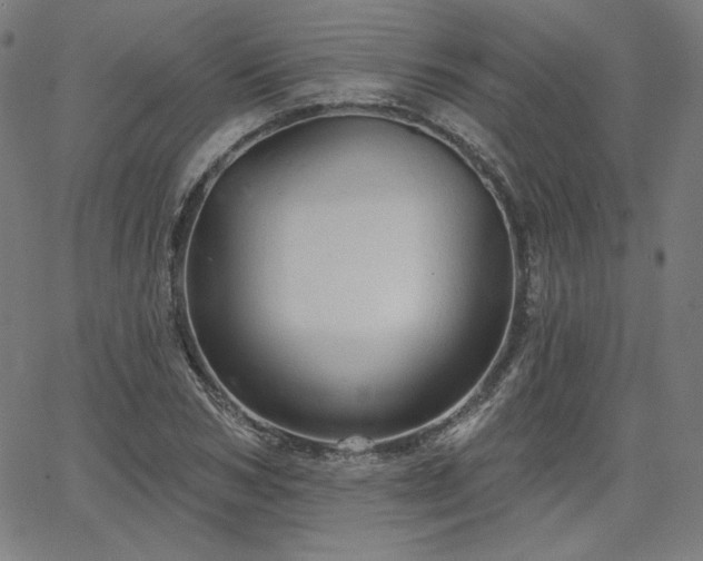 X0000066120978200603101231