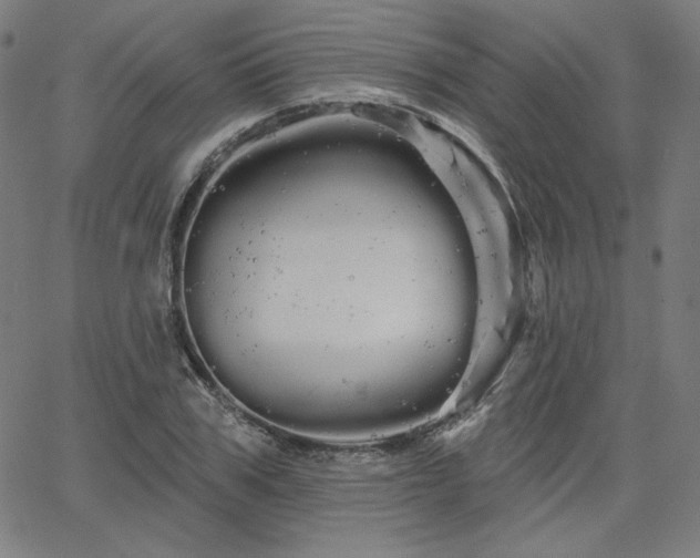 X0000066120979200603101231