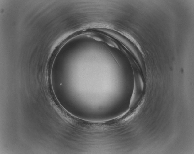 X0000066120981200603101231