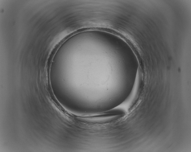 X0000066120982200603101231