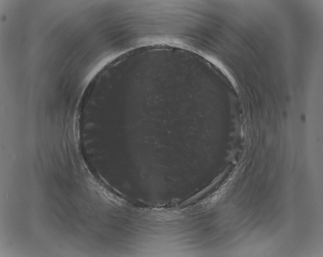 X0000066120983200603101231