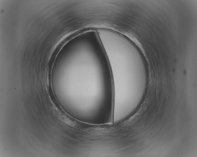 X0000066120984200603101231