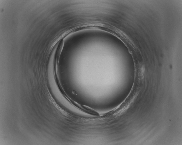 X0000066120985200603101231