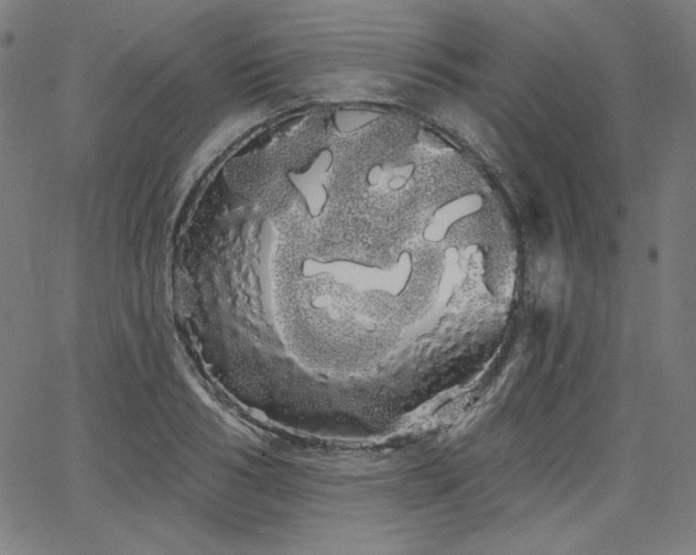 X0000066120986200603101231