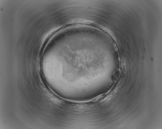 X0000066120987200603101231