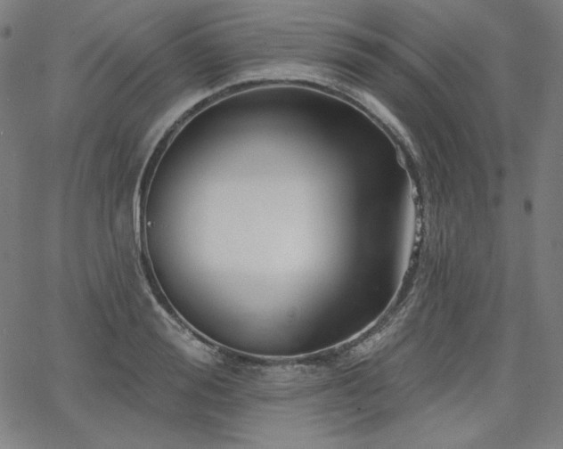 X0000066120988200603101231