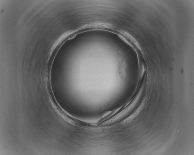 X0000066120989200603101231