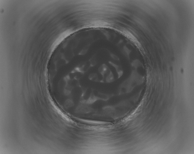 X0000066120990200603101231