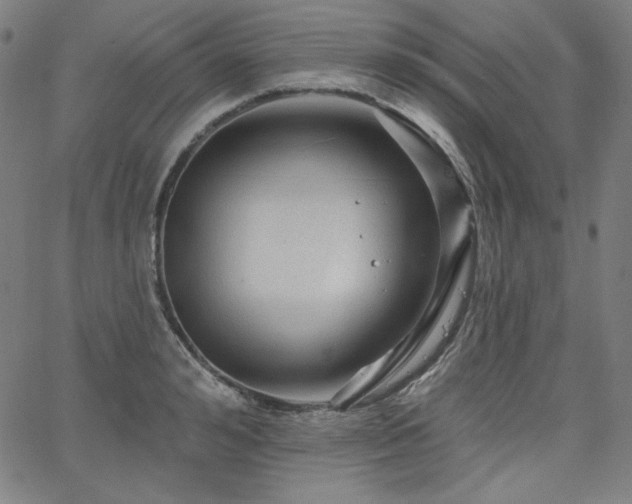 X0000066120992200603101231