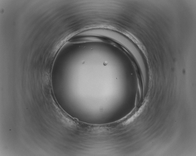 X0000066120993200603101231