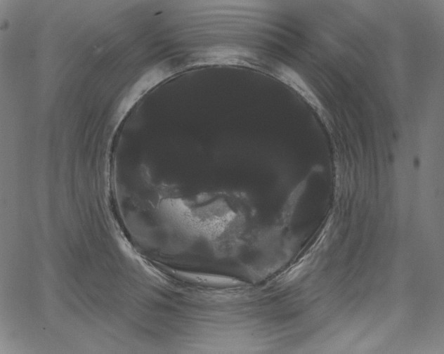 X0000066120994200603101231