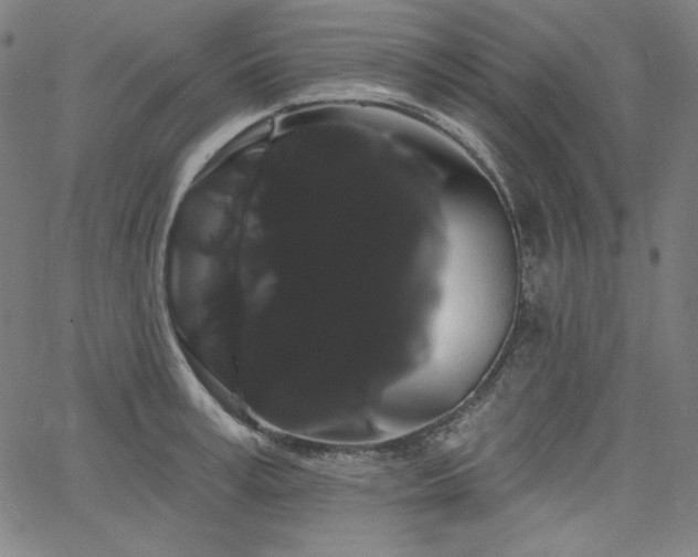 X0000066120995200603101231