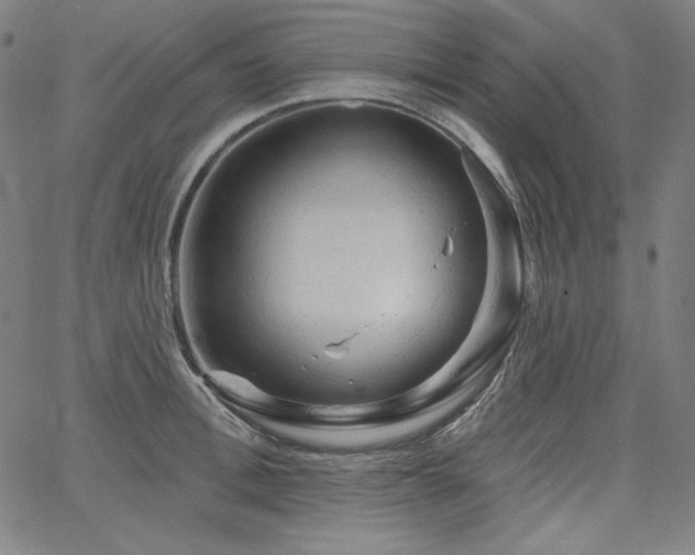 X0000066120996200603101231