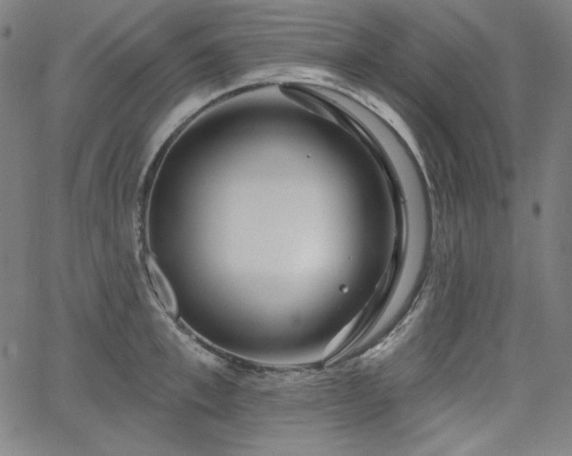 X0000066120997200603101231