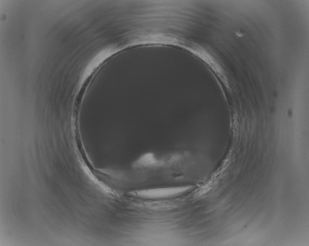 X0000066120998200603101231