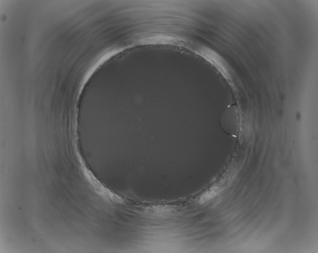 X0000066121000200603101231