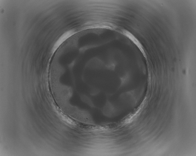 X0000066121002200603101231