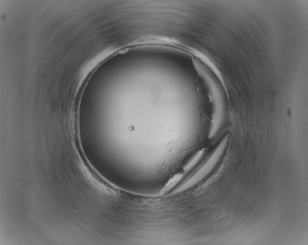 X0000066121003200603101231