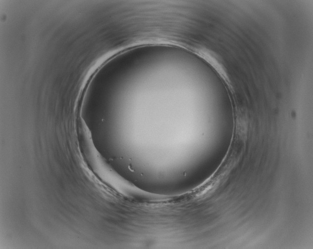 X0000066121004200603101231