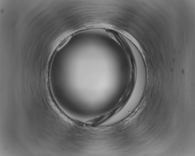 X0000066121005200603101231