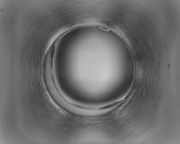 X0000066121006200603101231