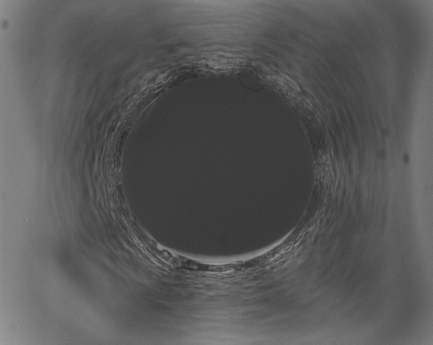 X0000066121009200603101230