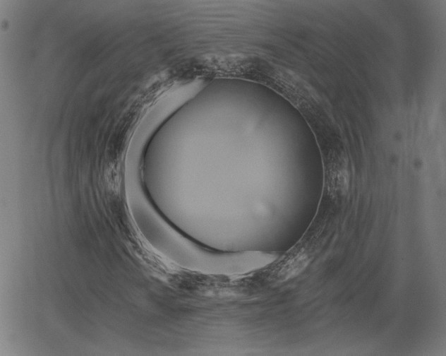 X0000066121010200603101230