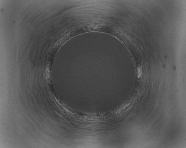 X0000066121011200603101230