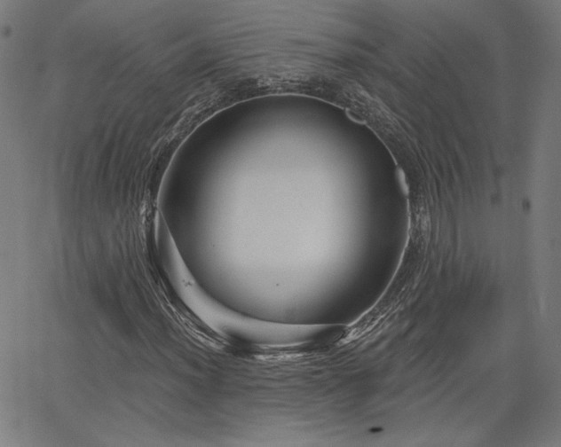 X0000066121012200603101230