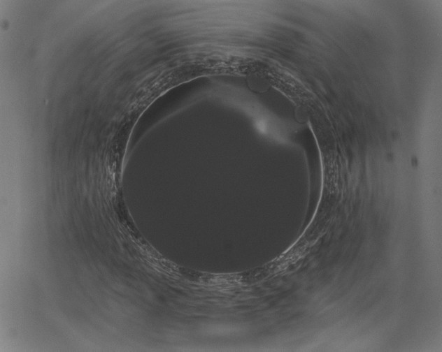 X0000066121013200603101230