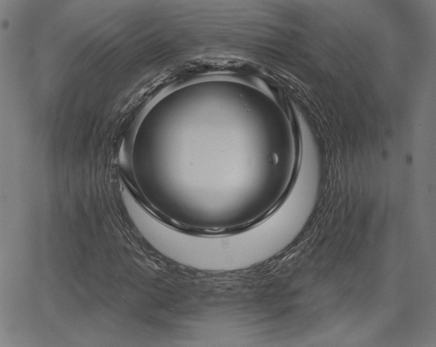 X0000066121014200603101230