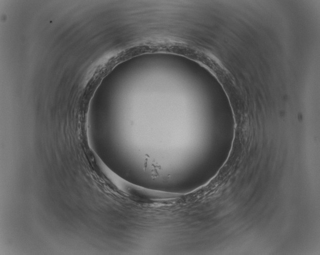 X0000066121016200603101230