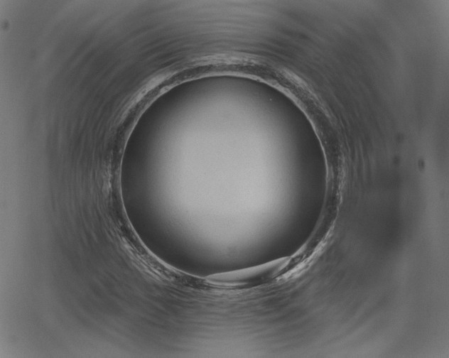 X0000066121017200603101230